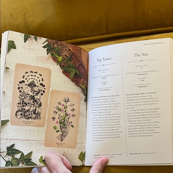 The Antique Anatomy Tarot Deck - Picture 5 of 6